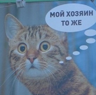 Минздрав объяснил «нестандартную» рекламу в центре Новосибирска